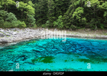 Lac coloré à Jiuzhaigou, Sichuan, Chine Banque D'Images