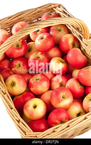 Un panier de pommes sur un fond blanc Banque D'Images