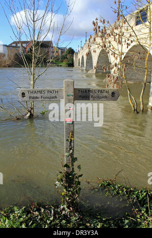 Pont de Chertsey, Surrey, Angleterre, Royaume-Uni. 19 janvier 2014. Chertsey Pont a rouvert ce week-end après les eaux de crue ont ensuite diminué suffisamment pour permettre aux véhicules de traverser au côté Shepperton en toute sécurité. Après les niveaux exceptionnels de l'eau de pluie à travers le Royaume-Uni, la Tamise a éclaté ses banques dans de nombreux endroits, causant plusieurs routes fermées dans Surrey y compris Chertsey Bridge Road qui a été fermée pendant 10 jours. Credit : Julia Gavin/Alamy Live News Banque D'Images