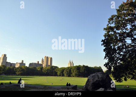 La grande pelouse dans Central Park (New York) Banque D'Images