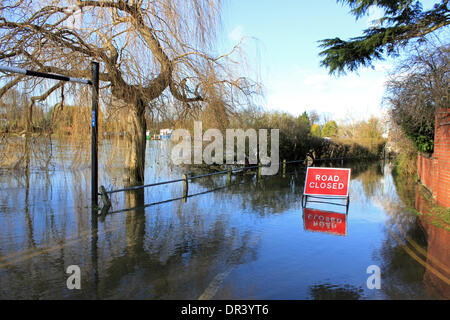 Ferry Lane Laleham, Surrey, Angleterre, Royaume-Uni. 19 janvier 2014. Ferry Lane Laleham est toujours fermé en raison des inondations. Après les niveaux exceptionnels de l'eau de pluie à travers le Royaume-Uni, la Tamise a éclaté ses banques dans de nombreux endroits, causant plusieurs routes fermées à Surrey. Credit : Julia Gavin/Alamy Live News Banque D'Images