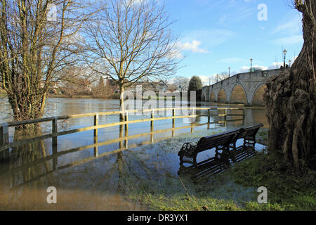 Pont de Chertsey, Surrey, Angleterre, Royaume-Uni. 19 janvier 2014. Chertsey Pont a rouvert ce week-end après les eaux de crue ont ensuite diminué suffisamment pour permettre aux véhicules de traverser au côté Shepperton en toute sécurité. Après les niveaux exceptionnels de l'eau de pluie à travers le Royaume-Uni, la Tamise a éclaté ses banques dans de nombreux endroits, causant plusieurs routes fermées dans Surrey y compris Chertsey Bridge Road qui a été fermée pendant 10 jours. Credit : Julia Gavin/Alamy Live News Banque D'Images