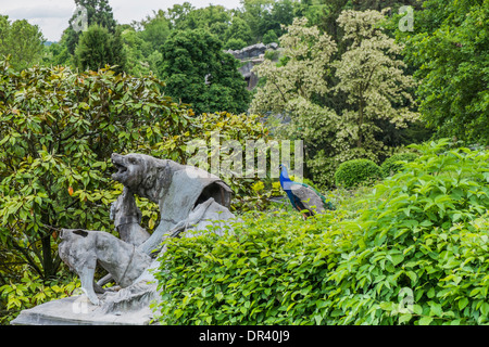 Peacock à côté d'une sculpture dans le jardin botanique de zoologique Wilhelma   , Stuttgart, baden-Württemberg, Allemagne Banque D'Images