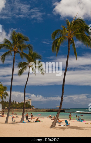 Kuhio Beach Park, plage de Waikiki, Honolulu, Oahu, Hawaii Banque D'Images