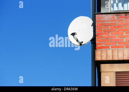 L'antenne satellite sur une façade de maison Banque D'Images