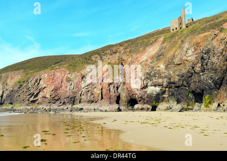 Plage de Porth Chapelle et falaises à marée basse près de St Agnes à Cornwall en Angleterre Banque D'Images