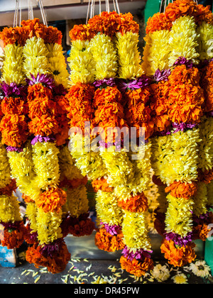 Offres de fleurs à vendre Banque D'Images