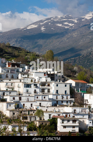 Village de La Alpujarra Trevelez région d'Andalousie, Espagne Banque D'Images