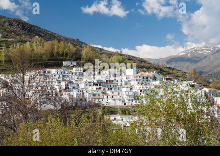 Village de La Alpujarra Trevelez région d'Andalousie, Espagne Banque D'Images