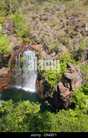 Florence Falls et piscine dans la région de Litchfield National Park, territoire du Nord, Australie Banque D'Images
