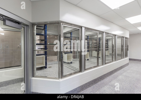 Zone d'affichage en verre des fenêtres de refuge d'animaux vide Banque D'Images