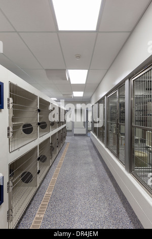 Les portes métalliques des cages vides au refuge d'animaux vide Banque D'Images