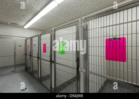 Les portes métalliques des cages vides au refuge d'animaux Banque D'Images