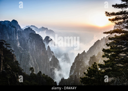 Le brouillard roulant sur les montagnes rocheuses, Huangshan, Anhui, Chine Banque D'Images