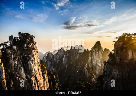 Les arbres croissant sur les montagnes rocheuses, Huangshan, Anhui, Chine Banque D'Images