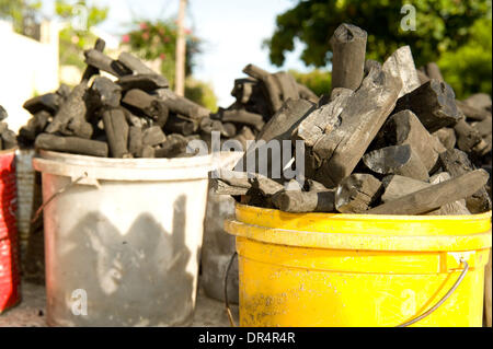 25 avr 2009 - Port-au-Prince, Haïti - Charbon à vendre à la communauté de Delmas, à Port-au-Prince. Fabrication Charocal est un des principaux contributeurs aux problèmes de déboisement continu d'Haïti. (Crédit Image : © David Snyder/ZUMA Press) Banque D'Images