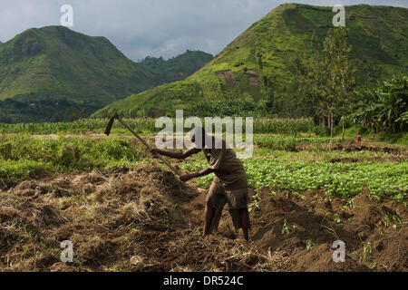 Dec 01, 2008 - Shasha, République démocratique du Congo - Un homme Congolais déplacés travaille dans un champ près de l'IDP (personnes déplacées) camp à 40 km (25 milles) à l'ouest de Goma. World Vision a organisé l'accès à une petite parcelle de terre pour certaines des personnes déplacées au camp de sorte qu'ils puissent commencer à briser leur dépendance à l'égard des distributions alimentaires et des marchés. les réfugiés (Image Crédit : © Banque D'Images