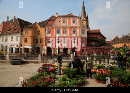 Marché aux fleurs de la Piata Mica, petite place du marché, de Sibiu (Hermannstadt), Transylvanie, Roumanie, Europe Banque D'Images