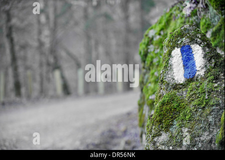 Bande bleu panneau sur un rock moss Banque D'Images