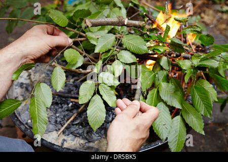 Faire feu Banque D'Images