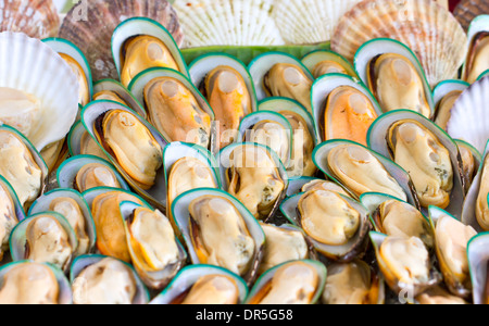 Asian green mussel. Banque D'Images