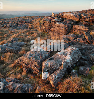 Le lapiez Malham Lings dans le Yorkshire Dales de l'Angleterre Banque D'Images