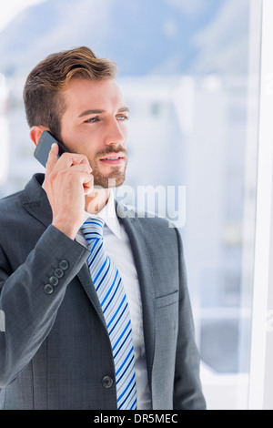 Handsome young businessman using mobile phone Banque D'Images