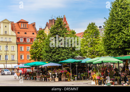 Le marché aux fleurs dans la place du marché de Wroclaw Sel ou Plac Solny. Banque D'Images