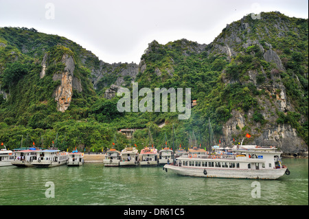 En face de la caverne Sung Sot, Halong Bay Banque D'Images