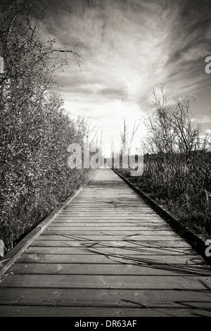 Allemagne, Baden Wuerttemberg, Villingen-Schwenningen, Schwenninger Moos Nature Reserve Banque D'Images