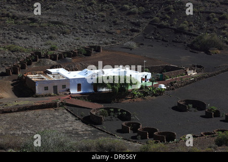 Ferme près de Haria, Lanzarote, îles canaries, espagne Banque D'Images