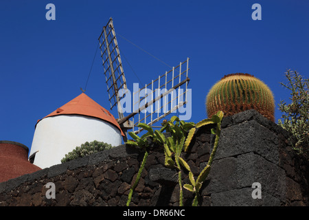 Bateau à quille, gofio moulin, jardin de cactus jardin de cactus à Guatiza, Lanzarote, îles canaries, espagne Banque D'Images