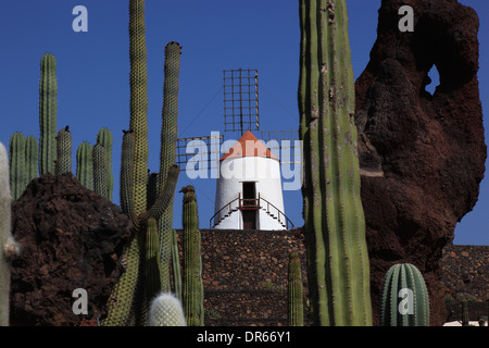Gofio moulin, jardin de cactus jardin de cactus à Guatiza, Lanzarote, îles canaries, espagne Banque D'Images
