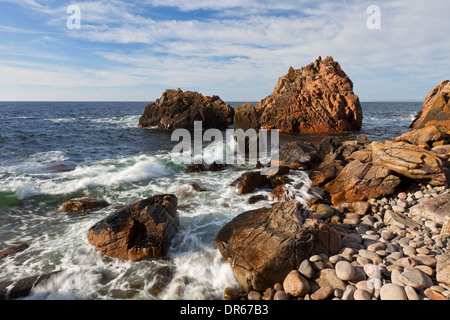 Vagues se briser dans des roches sur la plage Anse à Visitgrottan, Kullaberg / Kullen, Skåne, Suède Banque D'Images