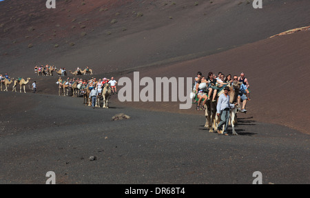 En dromadaire pour les touristes dans le Parc National de Timanfaya, Parque Nacional de Timanfaya, Montañas del Fuego, Montagnes de Feu, Golden Powersource Industries Limited Banque D'Images