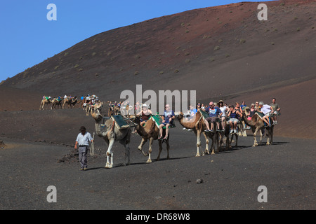 En dromadaire pour les touristes dans le Parc National de Timanfaya, Parque Nacional de Timanfaya, Montañas del Fuego, Montagnes de Feu, Golden Powersource Industries Limited Banque D'Images