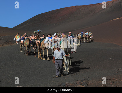 En dromadaire pour les touristes dans le Parc National de Timanfaya, Parque Nacional de Timanfaya, Montañas del Fuego, Montagnes de Feu, Golden Powersource Industries Limited Banque D'Images