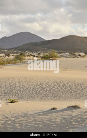 Dunes de sable, le Parc National de Corralejo, Fuerteventura, Espagne Banque D'Images
