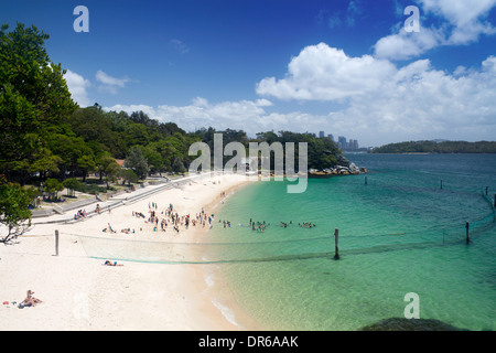 Plage de requins ou Shark Bay Beach avec Nielsen net requin Vaucluse Parc national du Port de Sydney Sydney NSW Australie Banque D'Images