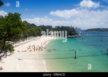 Plage de requins ou Shark Bay Beach avec Nielsen net requin Vaucluse Parc national du Port de Sydney Sydney NSW Australie Banque D'Images