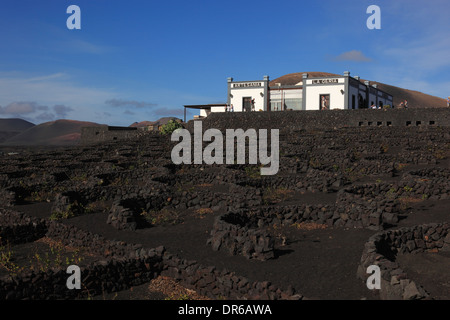 Bodega La Geria et Winery, Lanzarote, îles canaries, espagne Banque D'Images