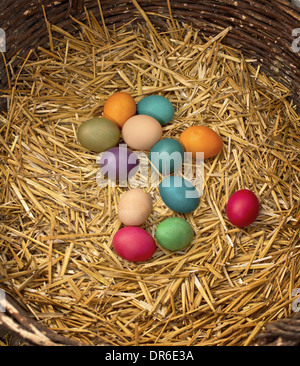 Les oeufs de Pâques colorés dans leur nid. Banque D'Images