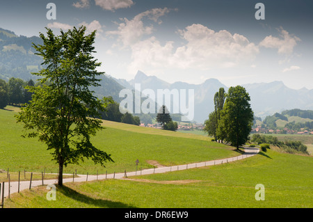 Randonnée chemin dans la vallée de la Sarine près de Neirivue dans les Alpes suisses, une partie de la national cycle route 4 (Route) Alpenpanorama Banque D'Images