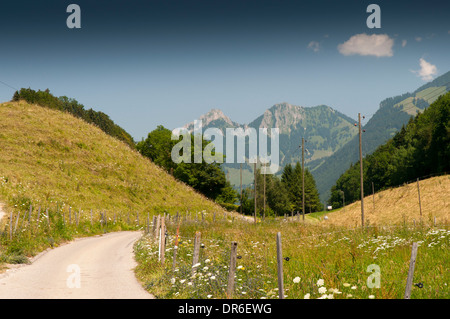 Randonnée chemin dans la vallée de la Sarine près de Neirivue dans les Alpes suisses, une partie de la national cycle route 4 (Route) Alpenpanorama Banque D'Images