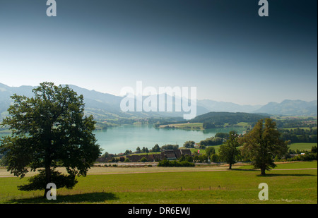 Vue sur le Lac de Gruyères dans les Alpes Suisses, extraite du Avry-Devant-Pont sur la national cycle route 4 (Route) Alpenpanorama Banque D'Images