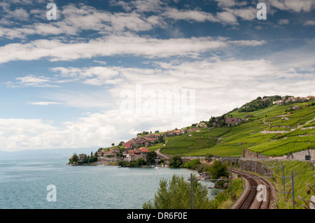 Les vignes et le village de Rivaz sur les rives du lac de Genève à proximité de Saint Saphorin en Suisse Banque D'Images