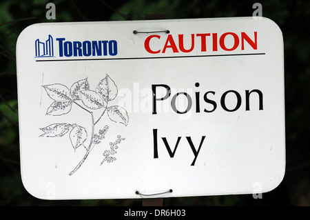 Poison ivy avertissement, Toronto, Canada Banque D'Images