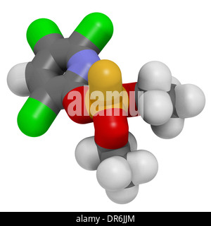 Molécule de pesticide organophosphoré chlorpyrifos. Toxiques et cancérogènes. Principalement utilisé dans l'agriculture. Banque D'Images