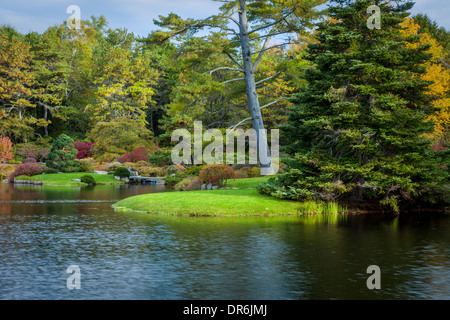 L'automne à Asticou Azalea Garden, Mount Desert Island, Maine, USA Banque D'Images