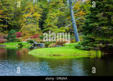 L'automne à Asticou Azalea Garden, Mount Desert Island, Maine, USA Banque D'Images